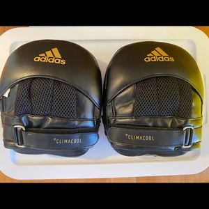 Boxing punch mitts